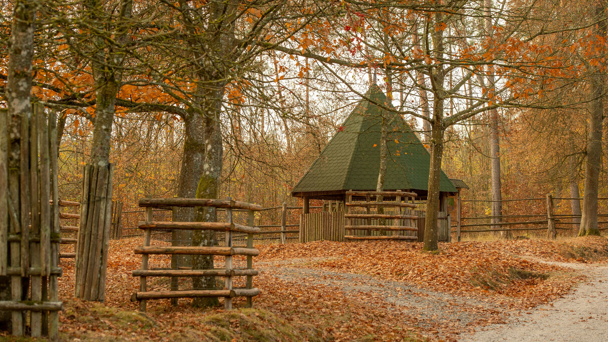 FAQ Häufige Fragen Kontakt und Service WildPark Schloss Tambach